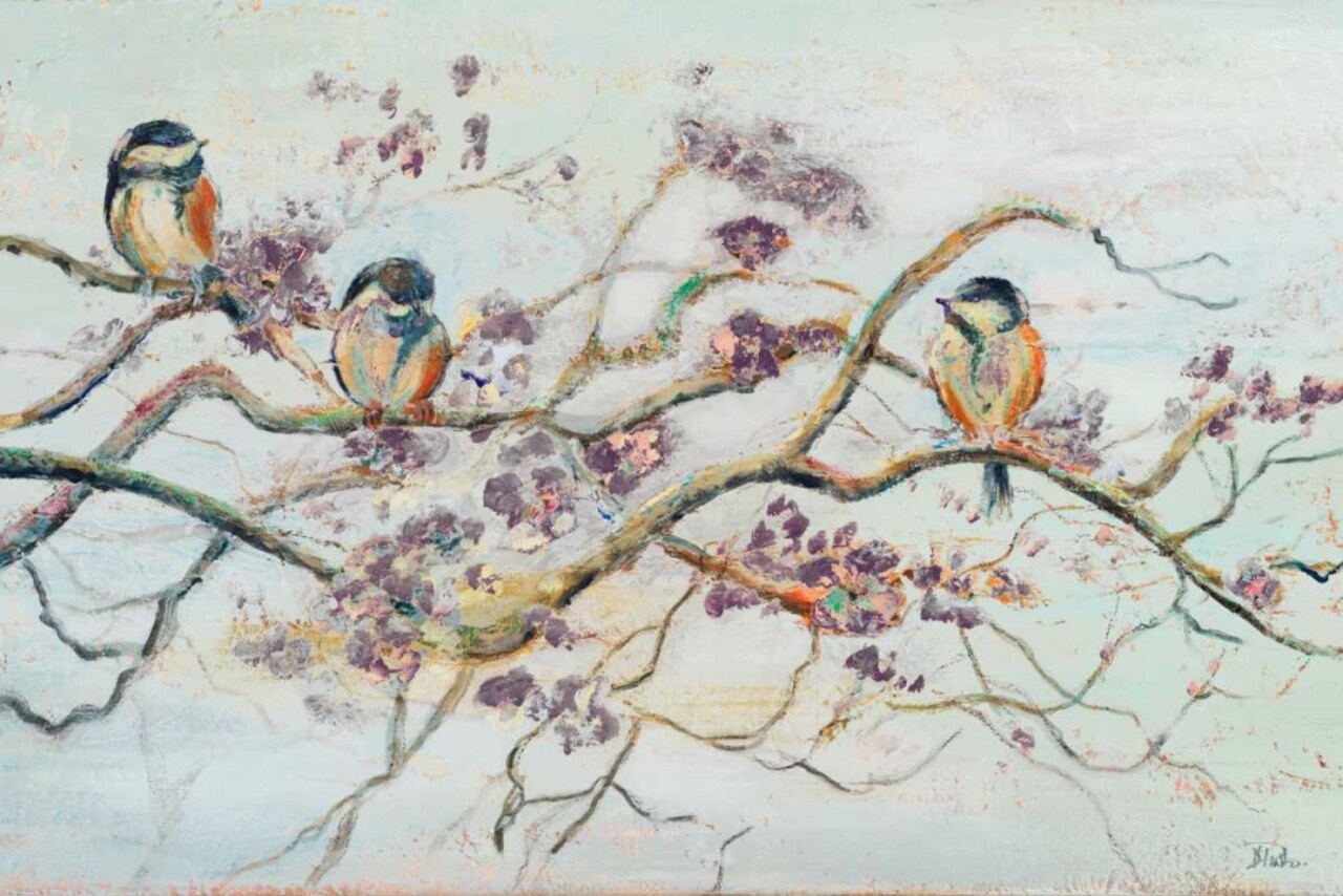 Birds On Cherry Blossom Branch Poster Print by Patricia Pinto - Item # VARPDX10780F